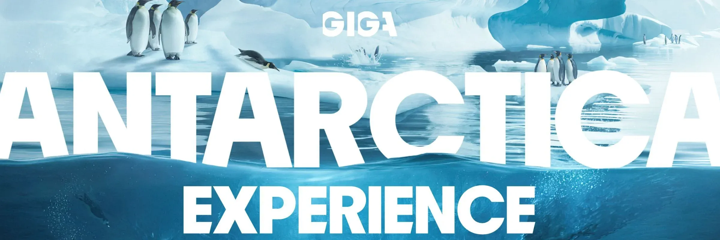 ANTARTICA EXPERIENCE BCN ANTARTICA EXPERIENCE BCN