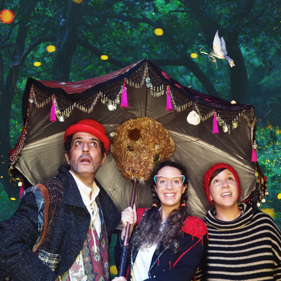 APRENDIZ DE GOLONDRINA PROME